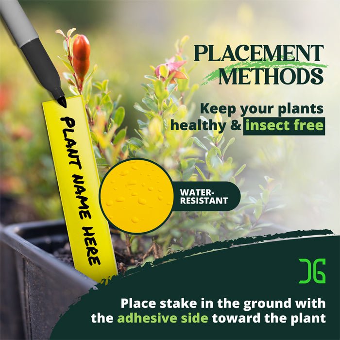 Catchmaster Dual Action Plant Stakes 100pcs (4 Pack) - BetterGrow Hydro