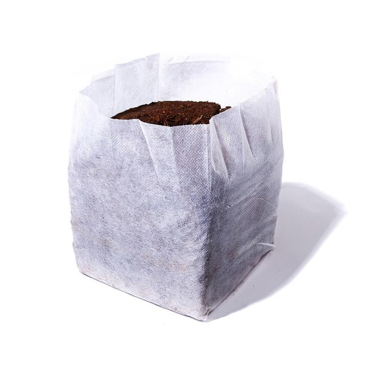 Char Coir BioPot - 3 Liter / 2 gallon - BetterGrow Hydro