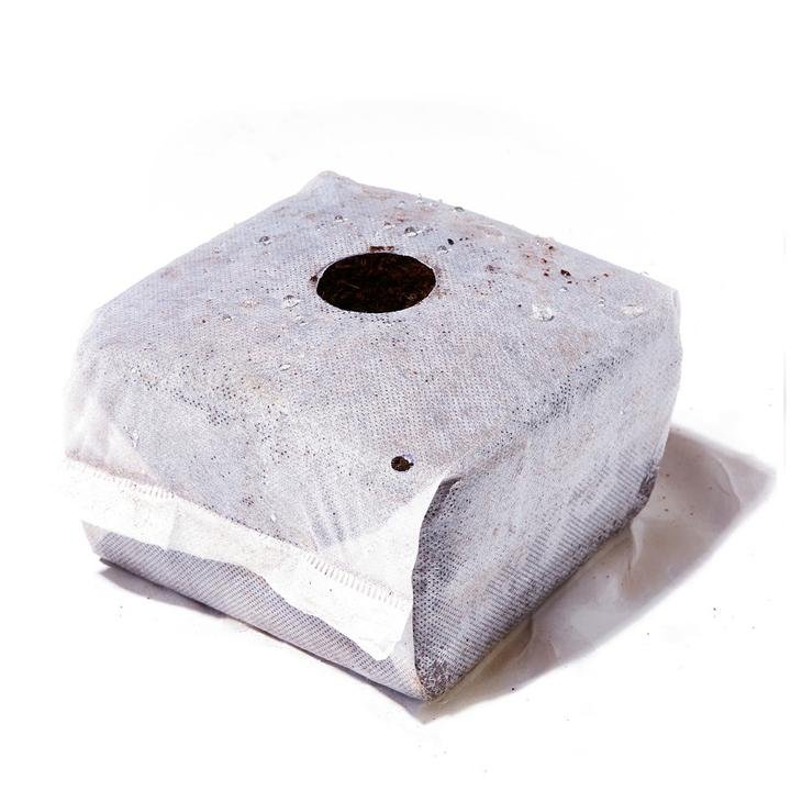 Char Coir Coco Cube - Compressed / 1 gallon - BetterGrow Hydro
