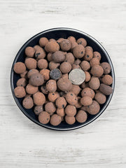 CHUNKY LECA - 2 GALLON - Horticultural Expanded Clay Aggregate / Pebbles - 16 - 20mm diameter - BetterGrow Hydro