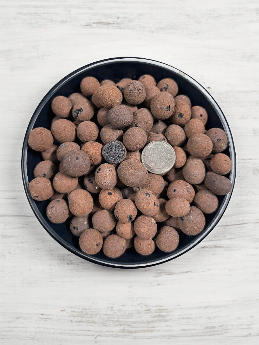 CHUNKY LECA - 2 GALLON - Horticultural Expanded Clay Aggregate / Pebbles - 16 - 20mm diameter - BetterGrow Hydro