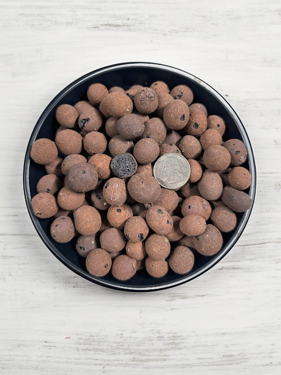 CHUNKY LECA - 3 GALLON - Horticultural Expanded Clay Aggregate / Pebbles - 16 - 20mm diameter - BetterGrow Hydro