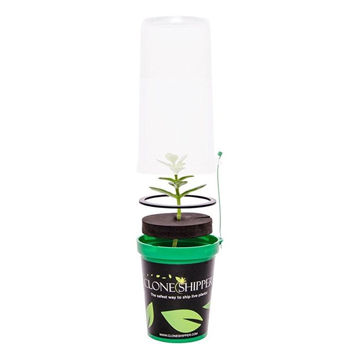 Clone Shipper - BetterGrow Hydro