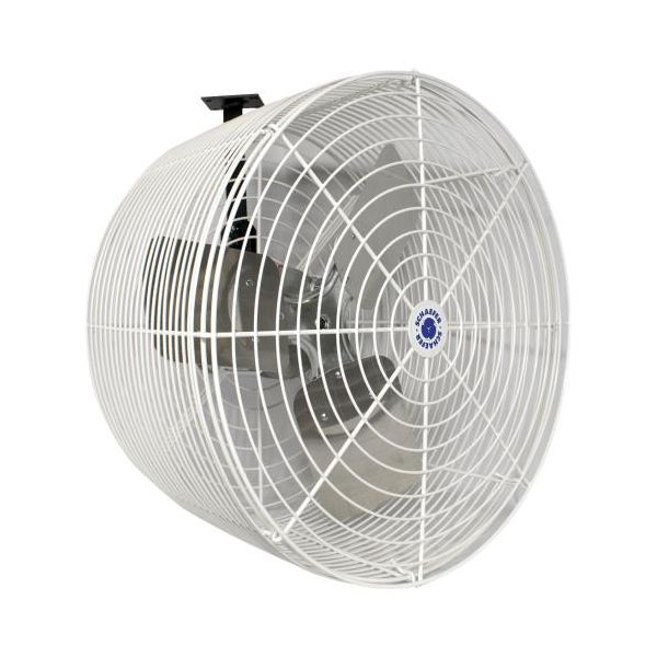 <a href="/collections/wall-mount-fans" title="Wall Mount Fans">Wall Mount Fans</a>
