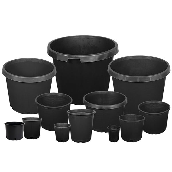 <a href="/collections/pots-and-containers" title="Pots and Containers">Pots and Containers</a>