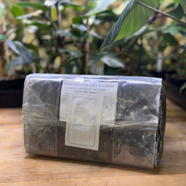 <a href="/collections/mushroom-kits-fruiting-blocks-copy" title="Mushroom Substrate and Grain">Grain and Substrate</a>