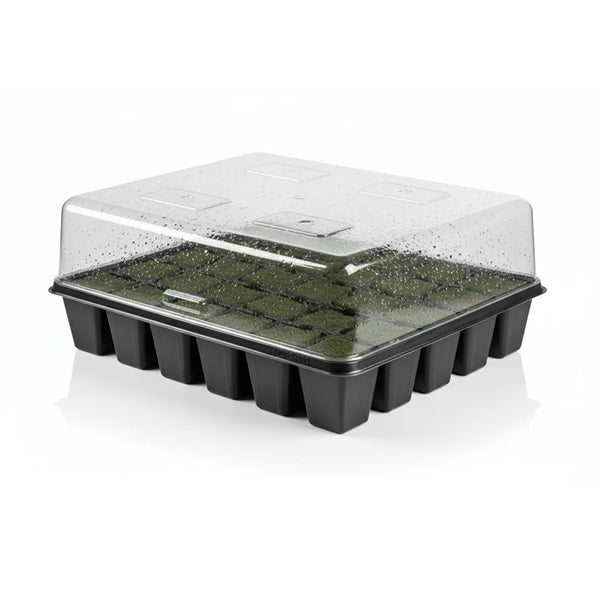 <a href="/collections/trays-domes-and-media" title="Trays, Domes and Media">Trays, Domes and Media</a>