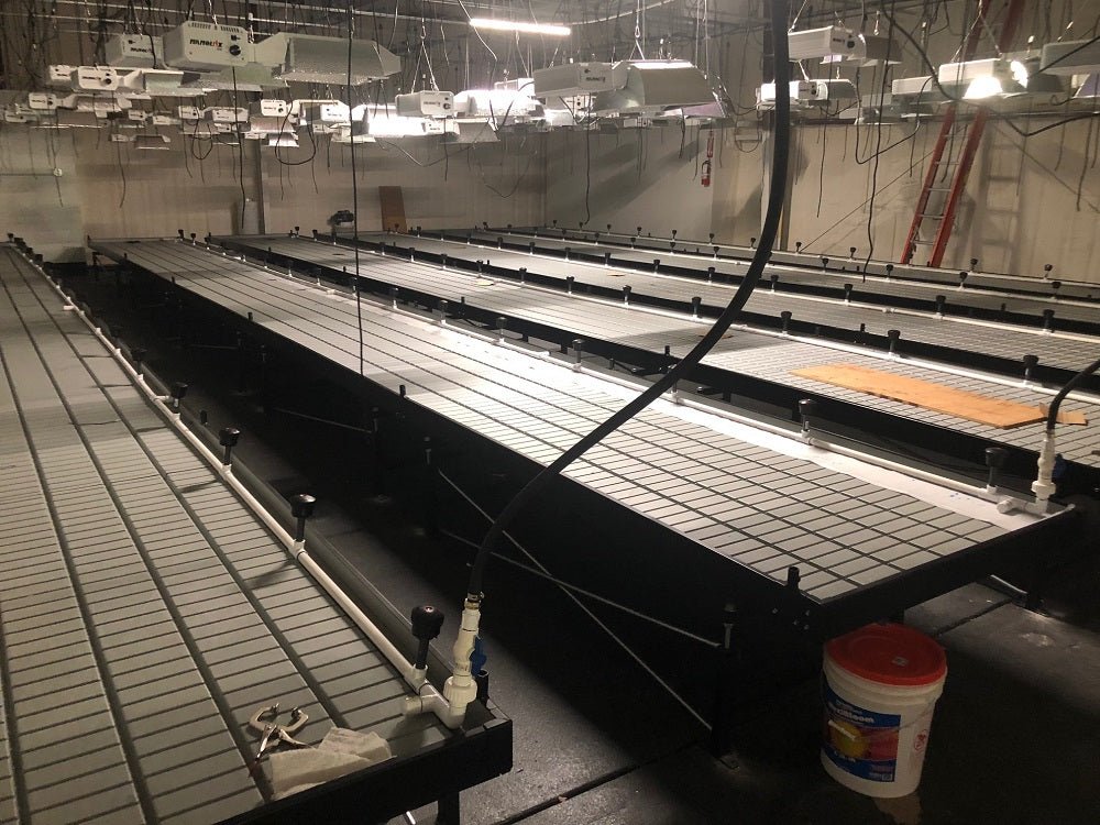 Continuous / Custom Tray Rolling Bench System - per square foot - BetterGrow Hydro