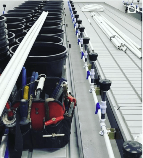 Continuous / Custom Tray Rolling Bench System - per square foot - BetterGrow Hydro