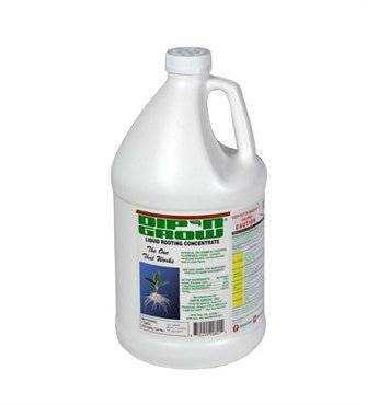 Dip-n-Grow - BetterGrow Hydro