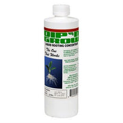 Dip-n-Grow - BetterGrow Hydro