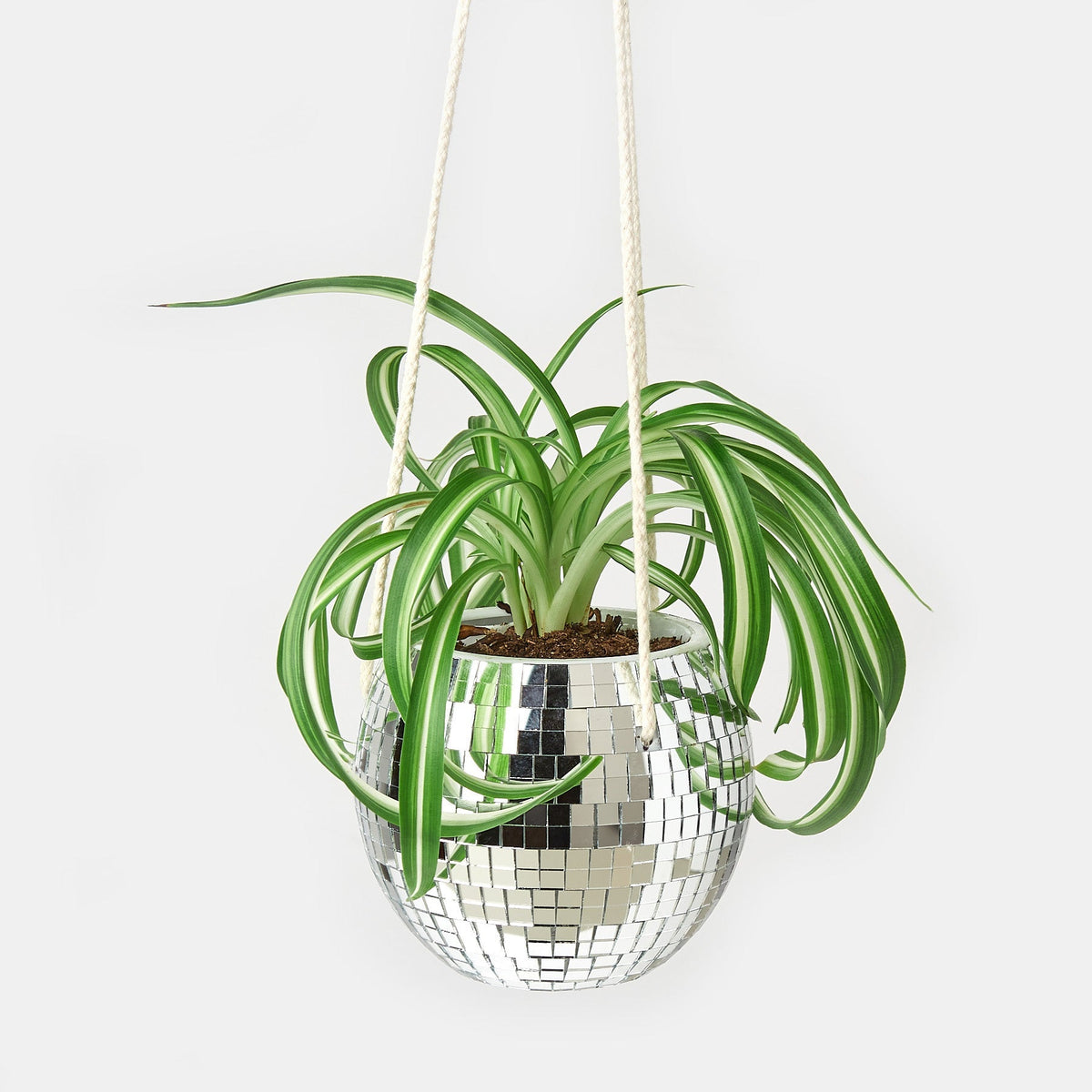 Disco Ball Hanging Planters - BetterGrow Hydro