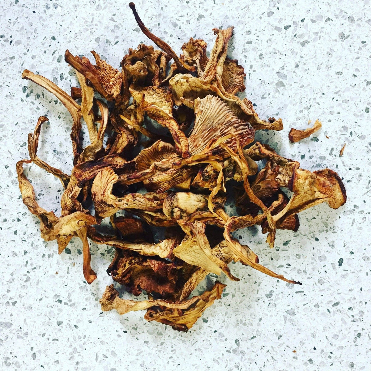 Dried Wild Chanterelle Mushrooms - BetterGrow Hydro