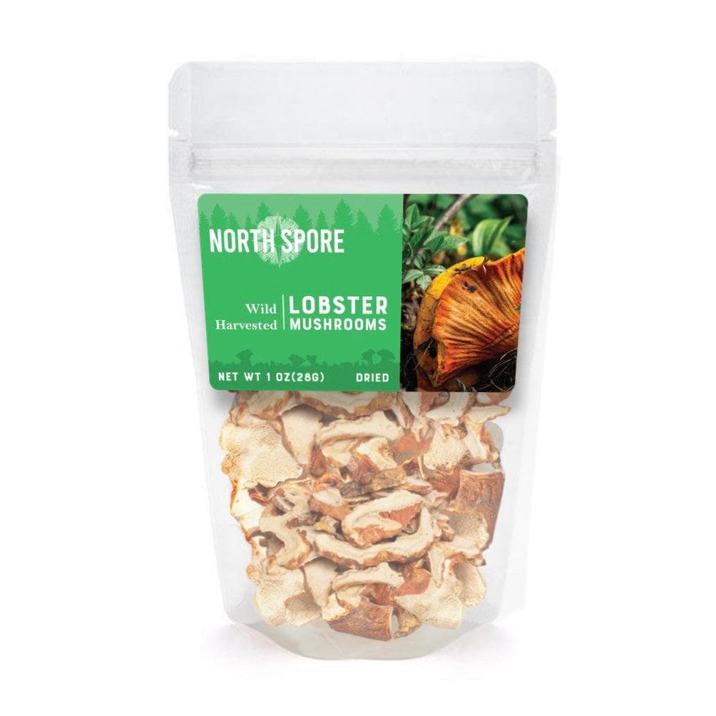 Dried Wild Lobster Mushrooms - BetterGrow Hydro