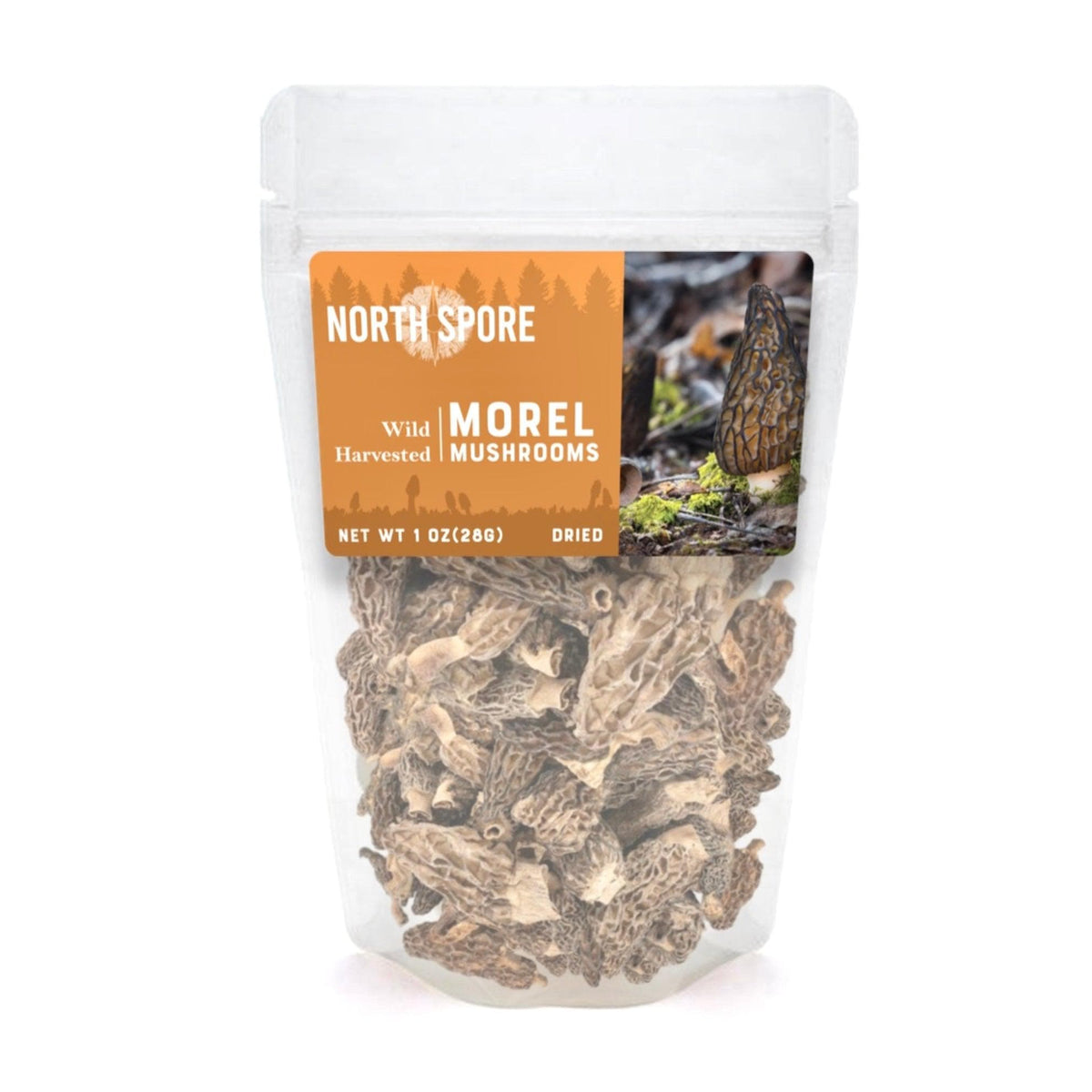 Dried Wild Morel Mushrooms - BetterGrow Hydro