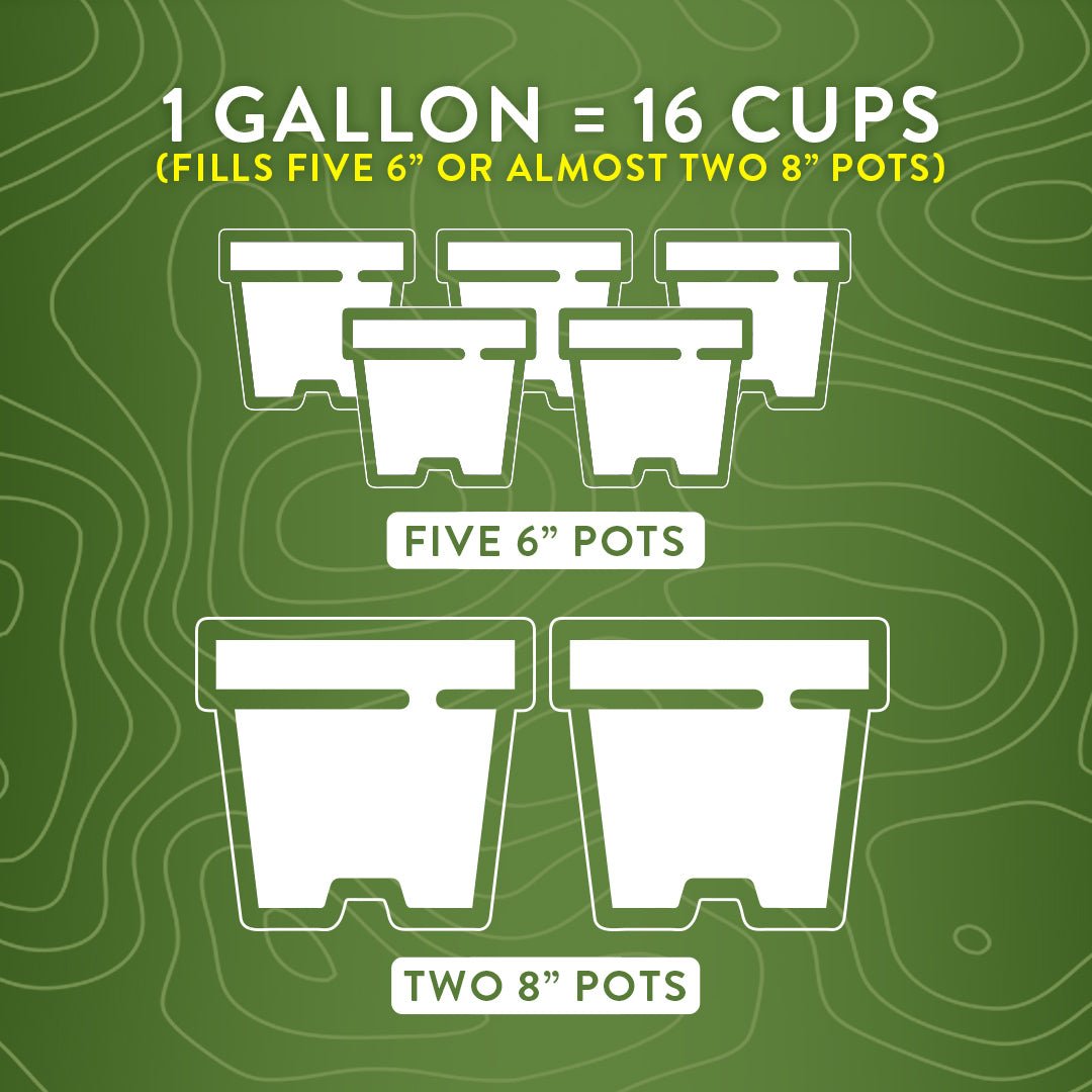 FINE Aroid Mix - 2 gallon - BetterGrow Hydro