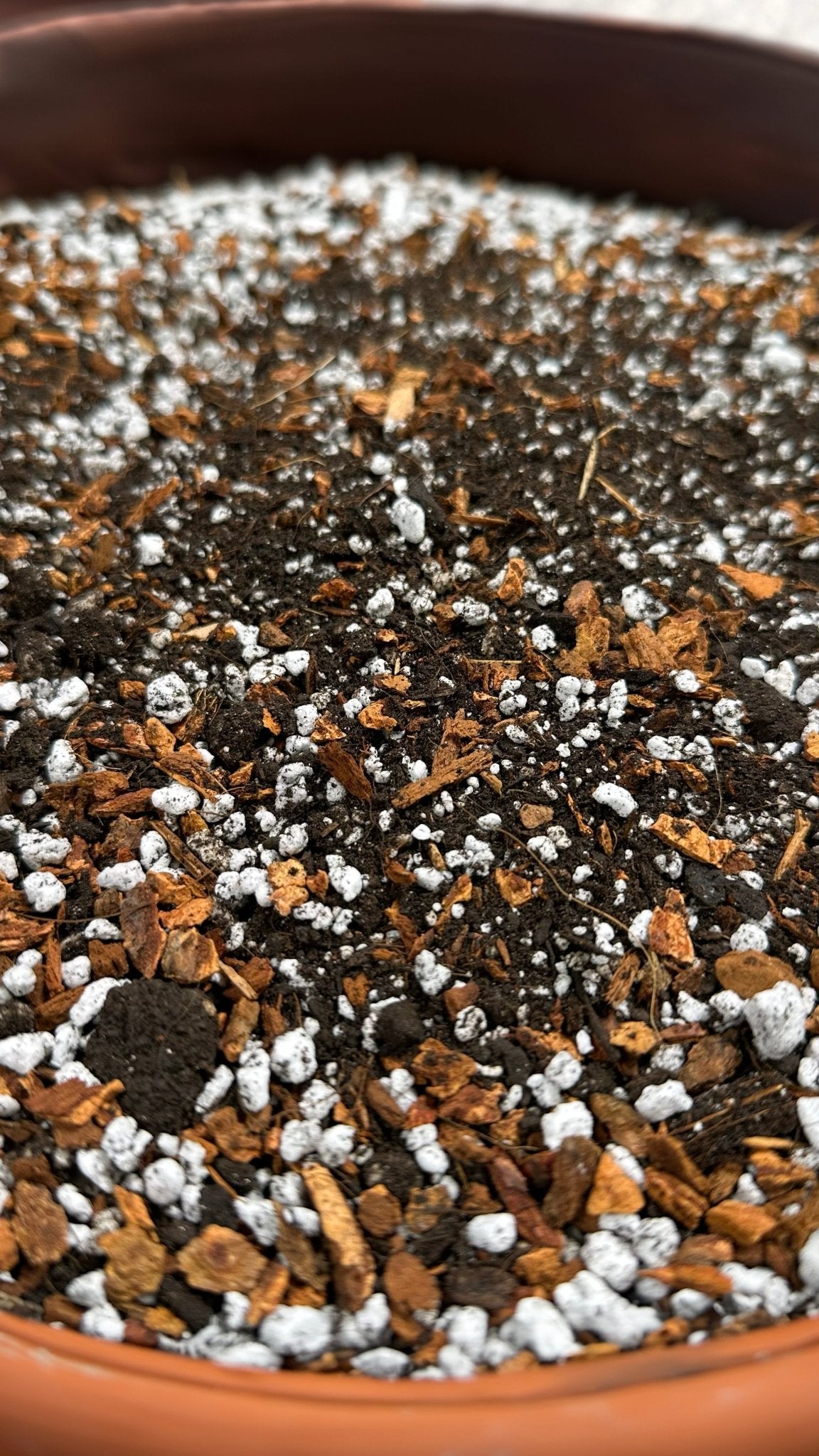 FINE Aroid Mix - 2 gallon - BetterGrow Hydro