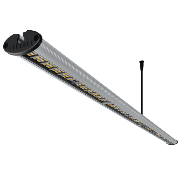 Fluence RAY44 LED Grow Light Bar - BetterGrow Hydro
