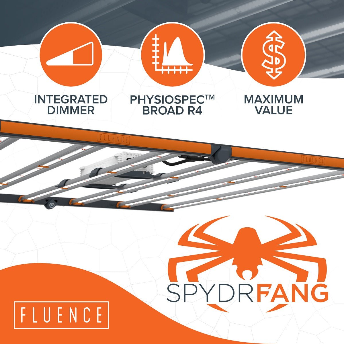 Fluence SPYDR FANG LED Grow Light - BetterGrow Hydro