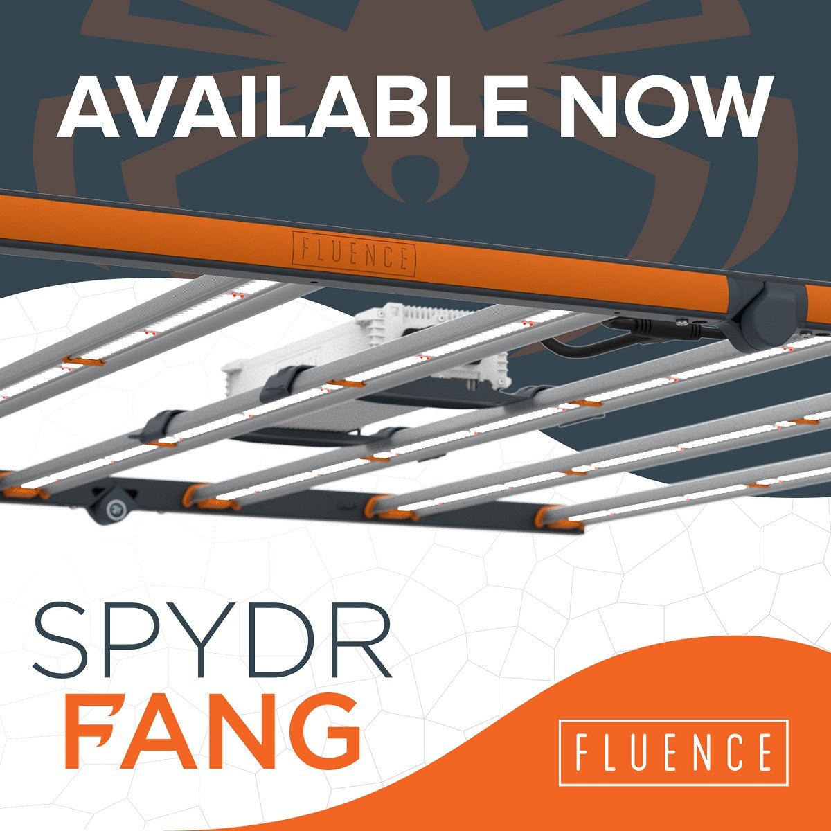 Fluence SPYDR FANG LED Grow Light - BetterGrow Hydro