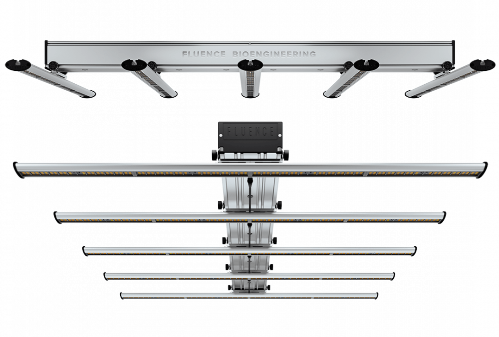 Fluence SPYDRx LED Grow Light System - BetterGrow Hydro
