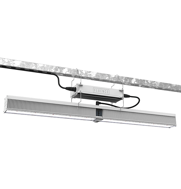 Fluence VYPR 3p LED Grow Light System - BetterGrow Hydro