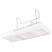 Gavita CT1930e LED 120 - 277V - BetterGrow Hydro