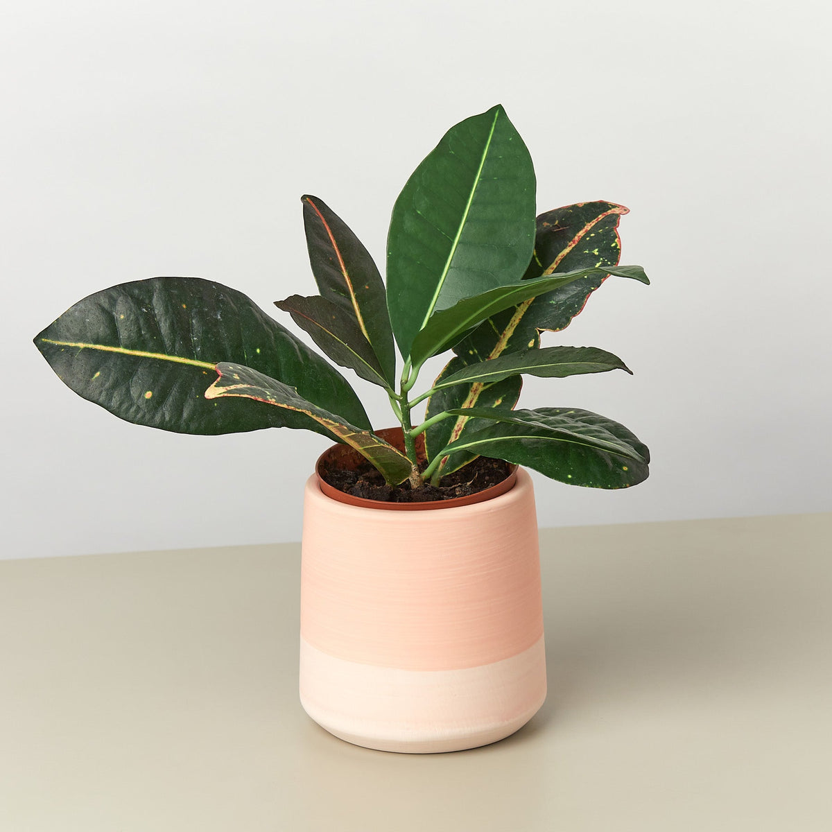 Gradient Cylinder Pot - 5 Inch - BetterGrow Hydro