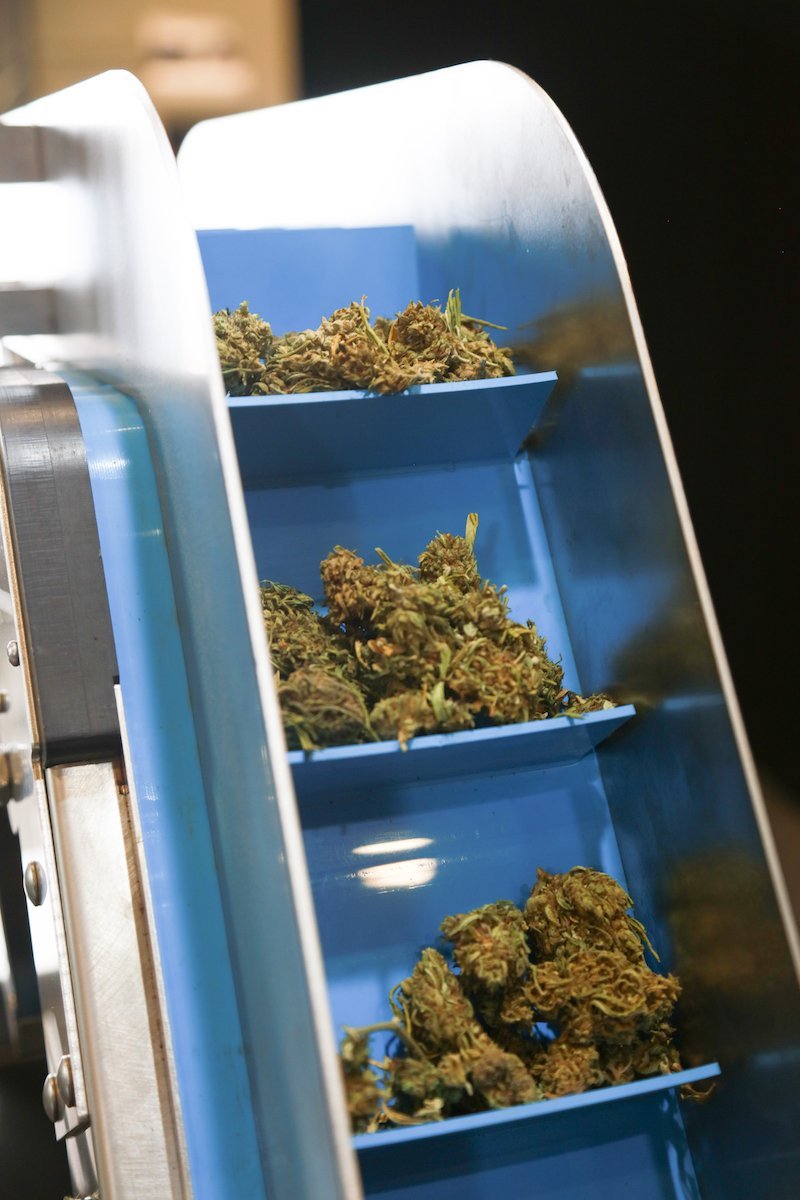 GreenBroz Rise Conveyor - BetterGrow Hydro