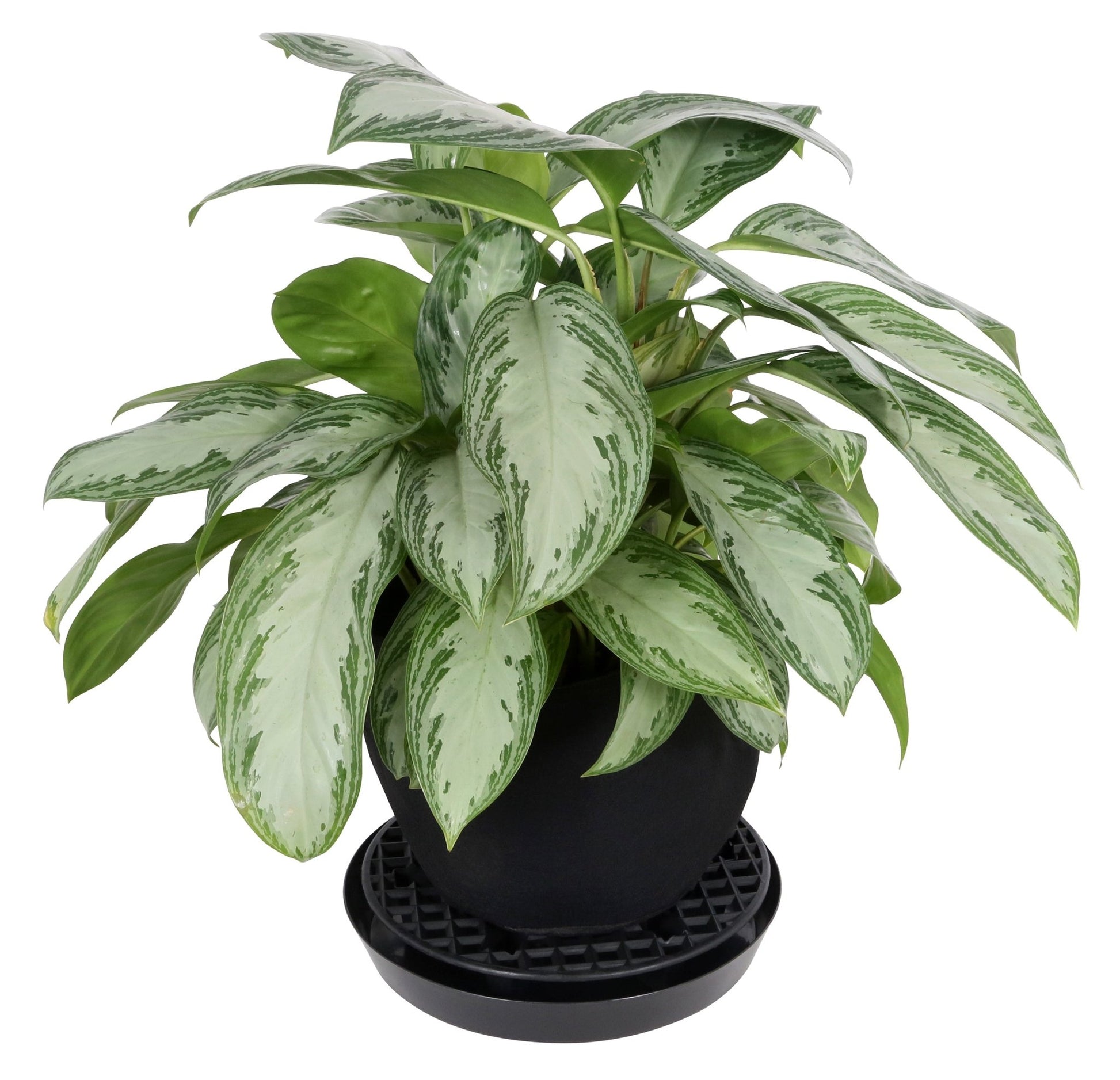 Gro Pro NX Level Pot Elevator - 13 in - BetterGrow Hydro