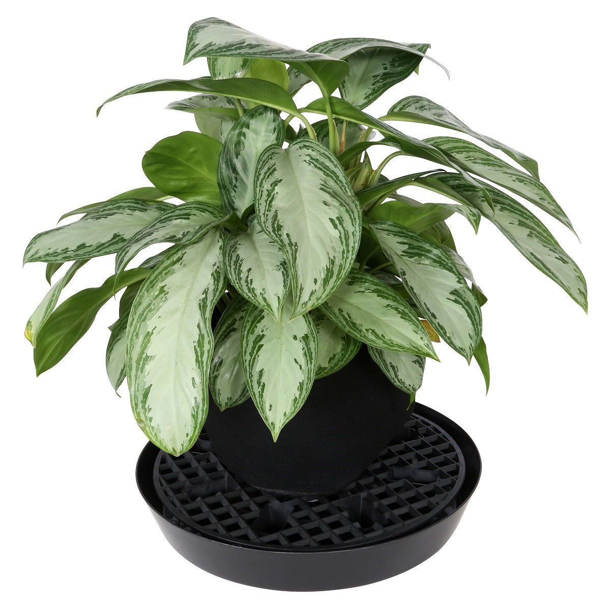 Gro Pro NX Level Pot Elevator - 18.5 in - BetterGrow Hydro