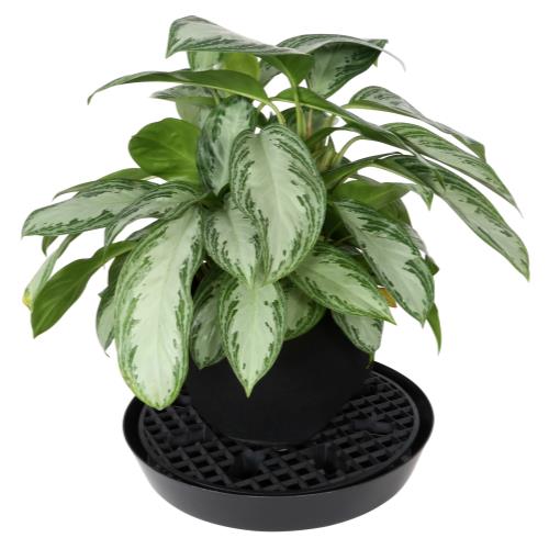 Gro Pro NX Level Pot Elevator - 21.5 in - BetterGrow Hydro