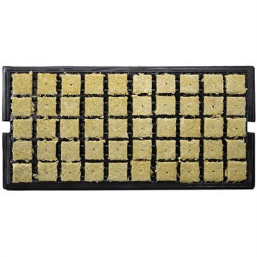 Grodan 1.5" AO Plugs w/Hole (1.4x1.4x1.9) -Tray (50 plugs/tray, 1500 plugs/carton) - BetterGrow Hydro