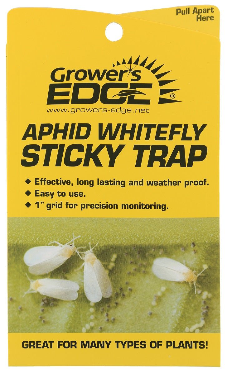 Grower's Edge Aphid Whitefly Sticky Trap 5/Pack - BetterGrow Hydro