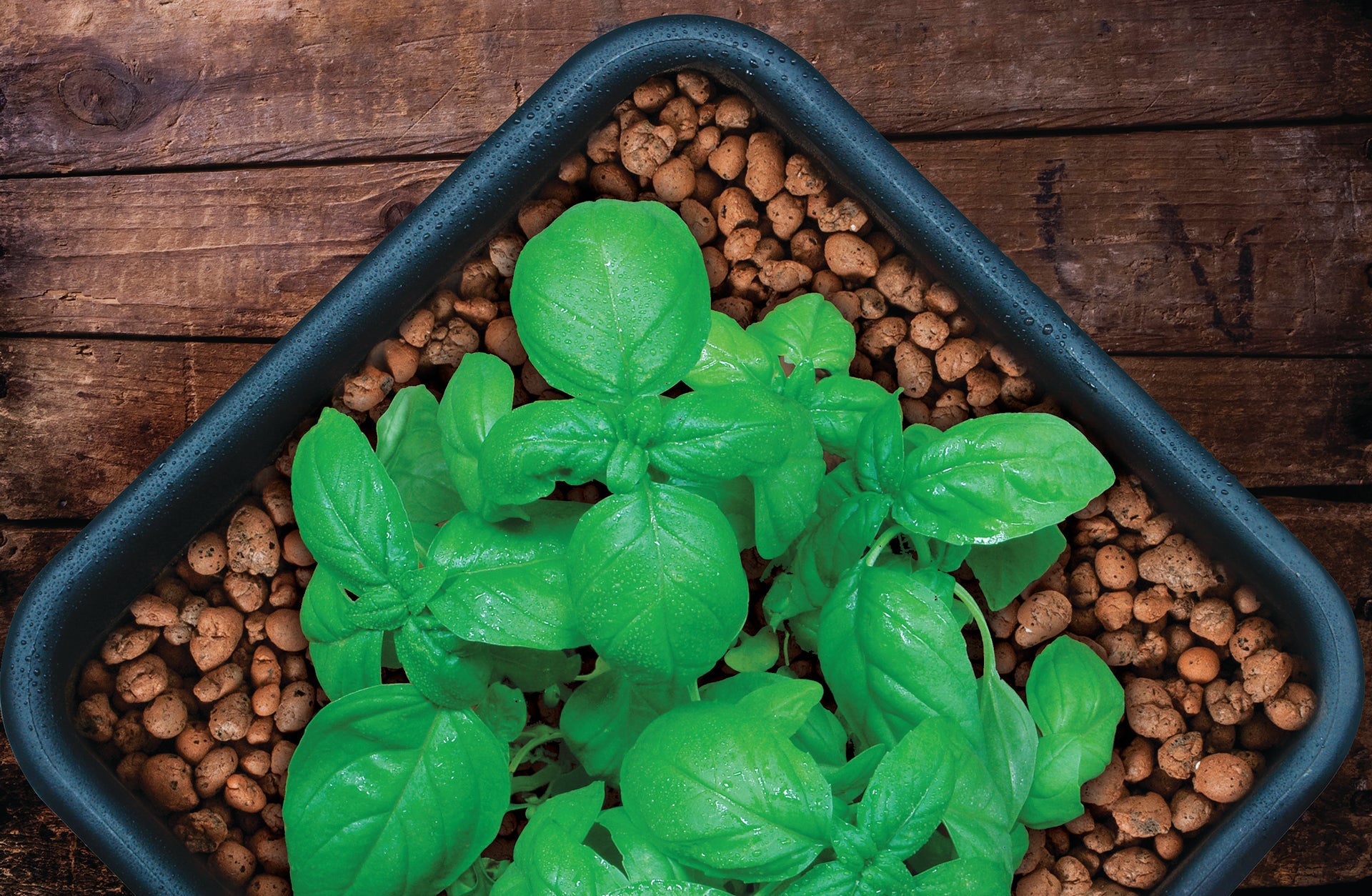 GROW!T Clay Pebbles - 4 - 16 mm - 40 L - BetterGrow Hydro
