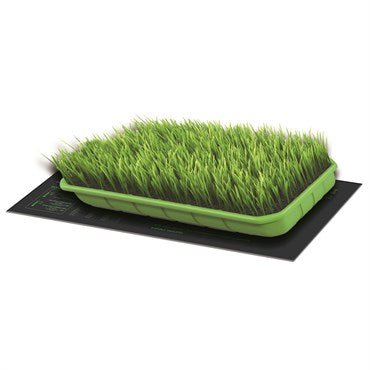 Hort2O 10"x20" 20W Seedling Heat Mat - BetterGrow Hydro