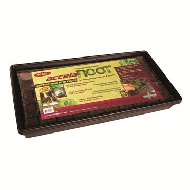 Hydrofarm AccelaROOT Plugs 50 Cell Tray with Insert - BetterGrow Hydro