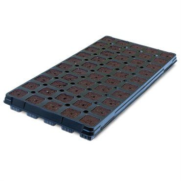 Ihort Excel Plug Prefilled Tray T50 50 Cell - BetterGrow Hydro