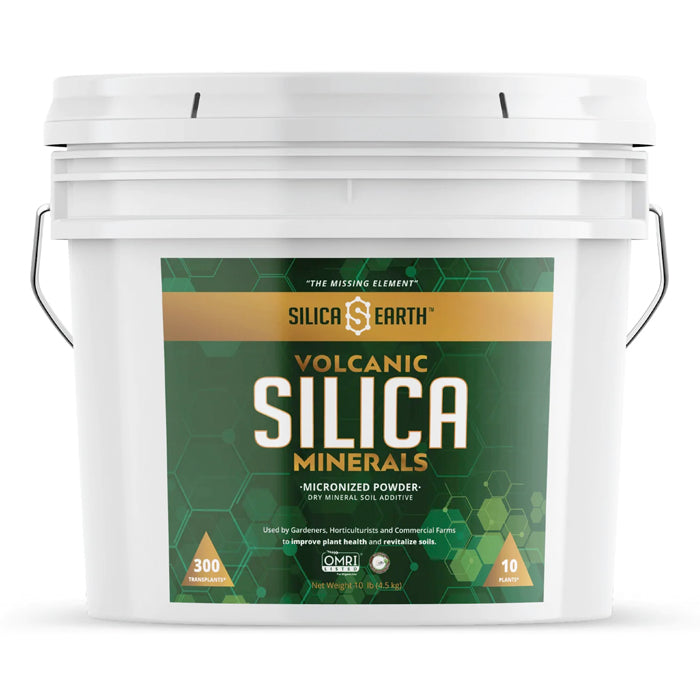 Silica Earth Volcanic Silica Minerals Micronized Powder 10lbs