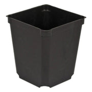3.5" Square Black Injection Pot