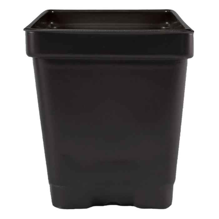 3.25" x 3.25" x 3.5" 0.5qt Square Pot