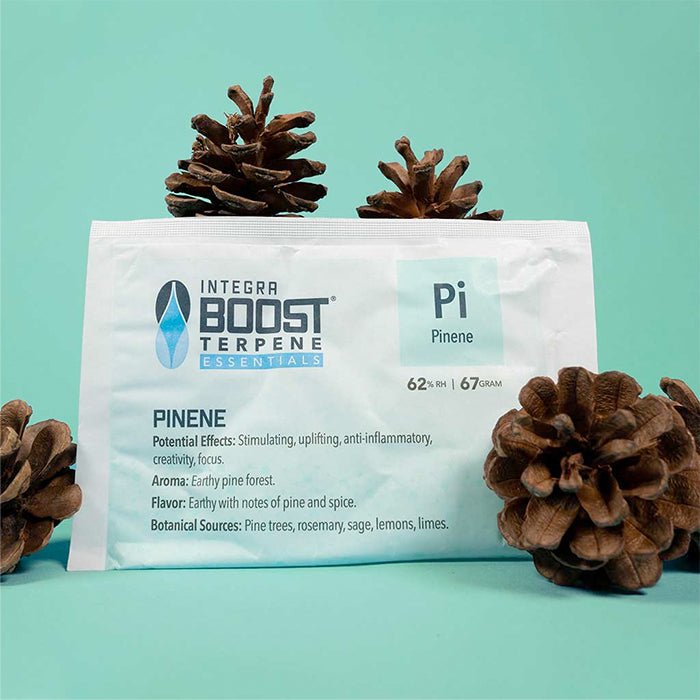 Integra Boost Terpene Essentials: Pinene 67g at 62% RH (12pcs/Box) - BetterGrow Hydro