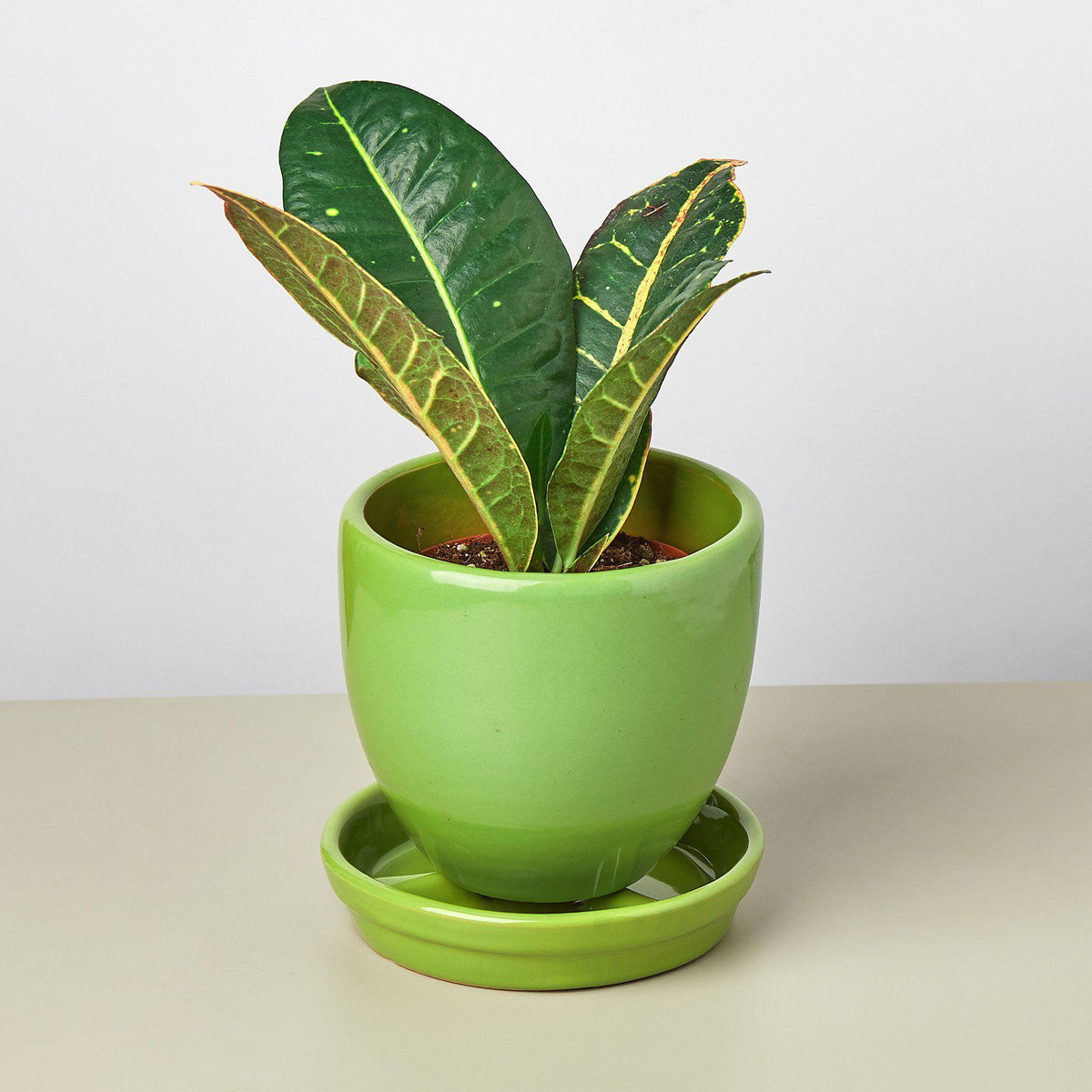 Liberty Bell Planter - BetterGrow Hydro
