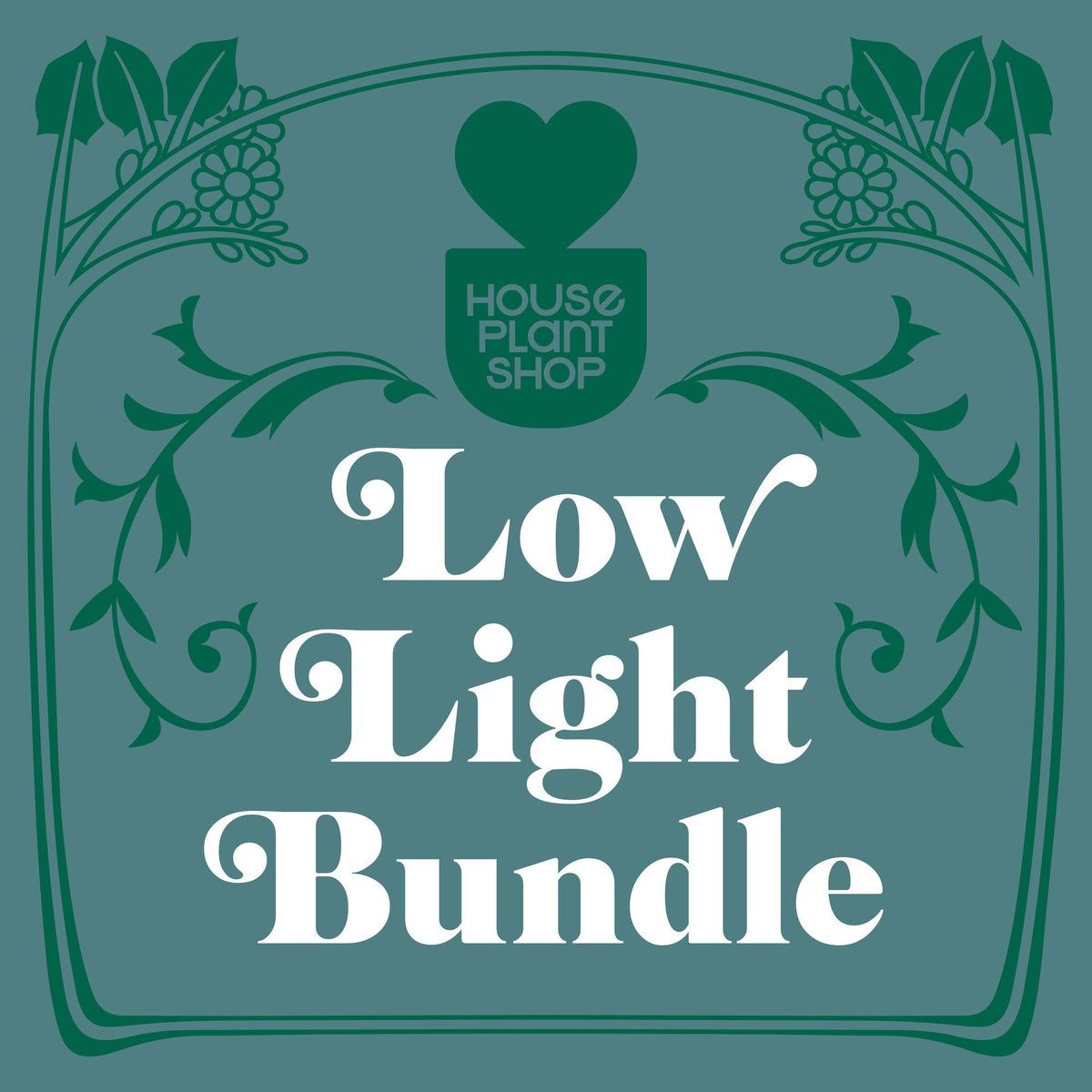 Low Light Bundle - BetterGrow Hydro