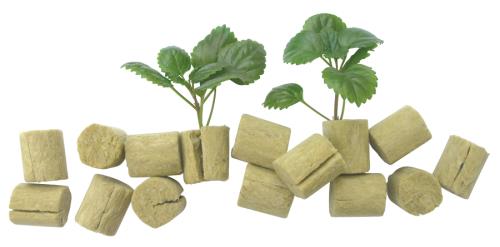MacroPlug Round - Bulk Case - BetterGrow Hydro