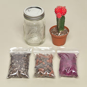 Mason Jar Terrarium Kit - BetterGrow Hydro