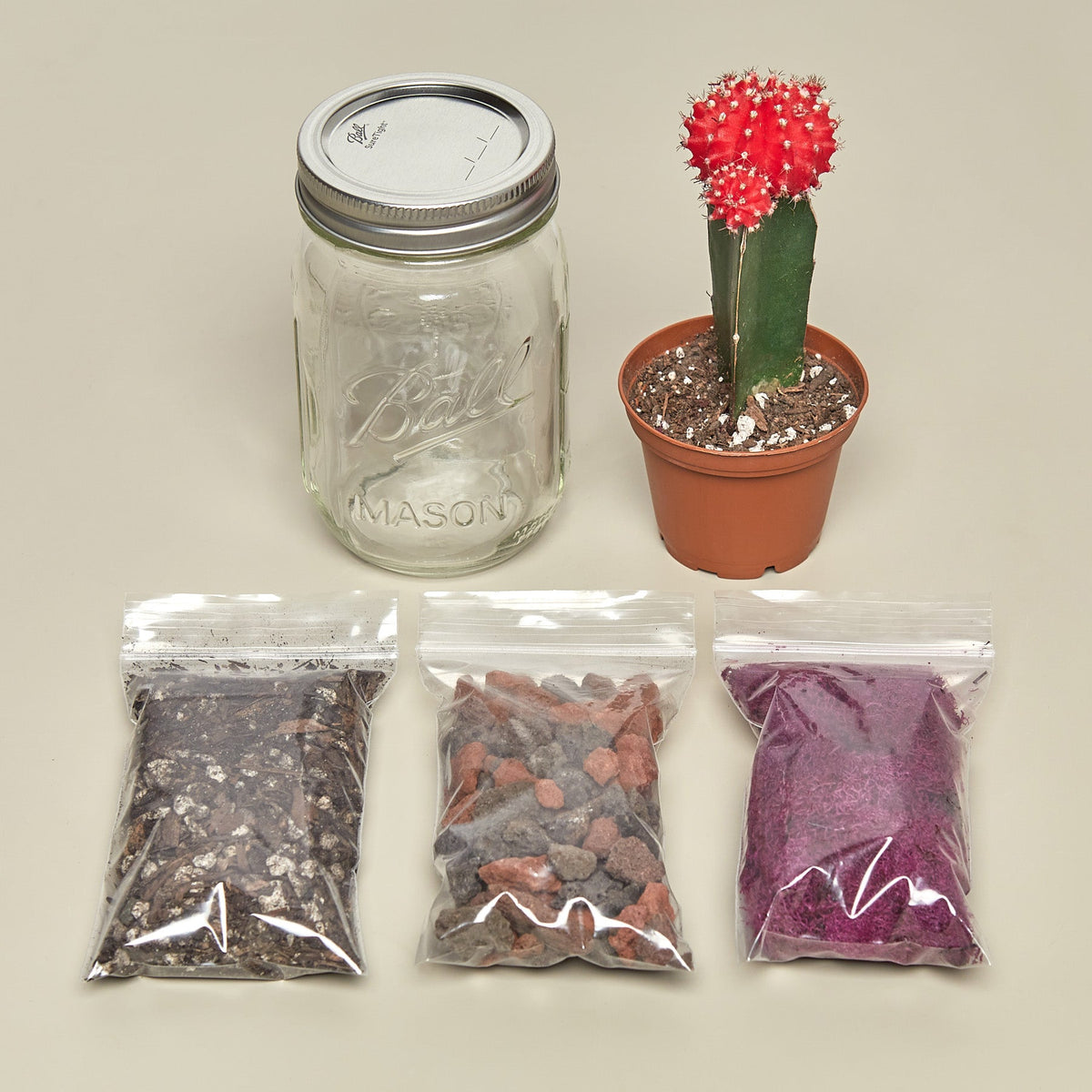 Mason Jar Terrarium Kit - BetterGrow Hydro