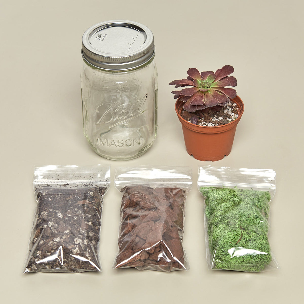 Mason Jar Terrarium Kit - BetterGrow Hydro