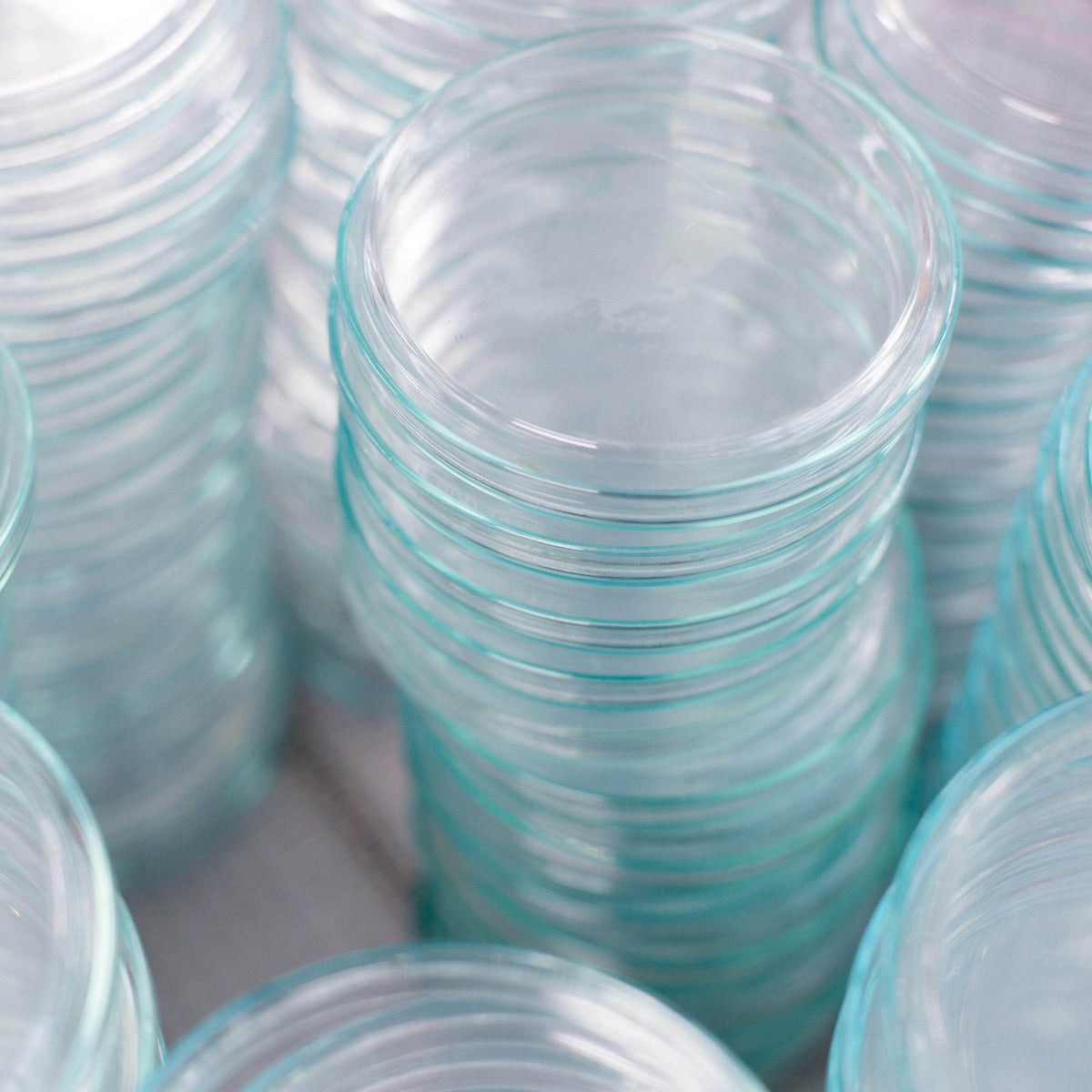 Medical-Grade Sterile Petri Dishes - BetterGrow Hydro