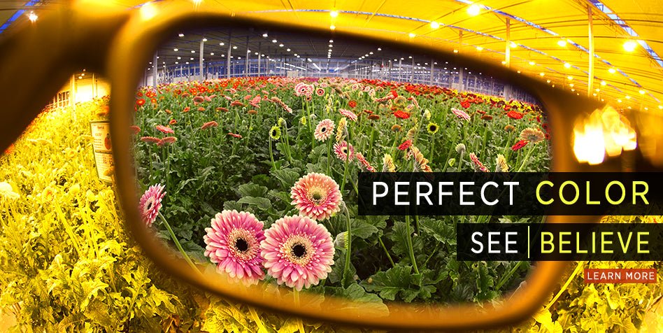 Method Seven Rendition Camera Photo Filter - HPS - BetterGrow Hydro